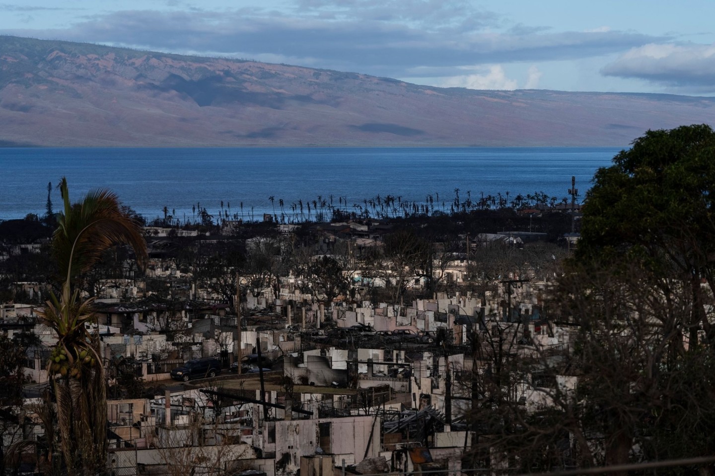 Nach den verheerenden Bränden auf der Insel Maui im US-Bundesstaat Hawaii haben Suchtrupps weitere Leichen in ausgebrannten Gebäuden gefunden.