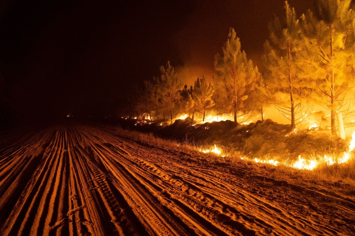 Ein Feuer wütet in einem Wald in der Nähe von Ituzaingo, in der Provinz Corrientes.