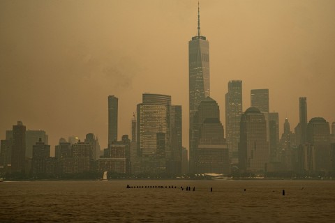 Rauch von Waldbränden hüllt New York ein