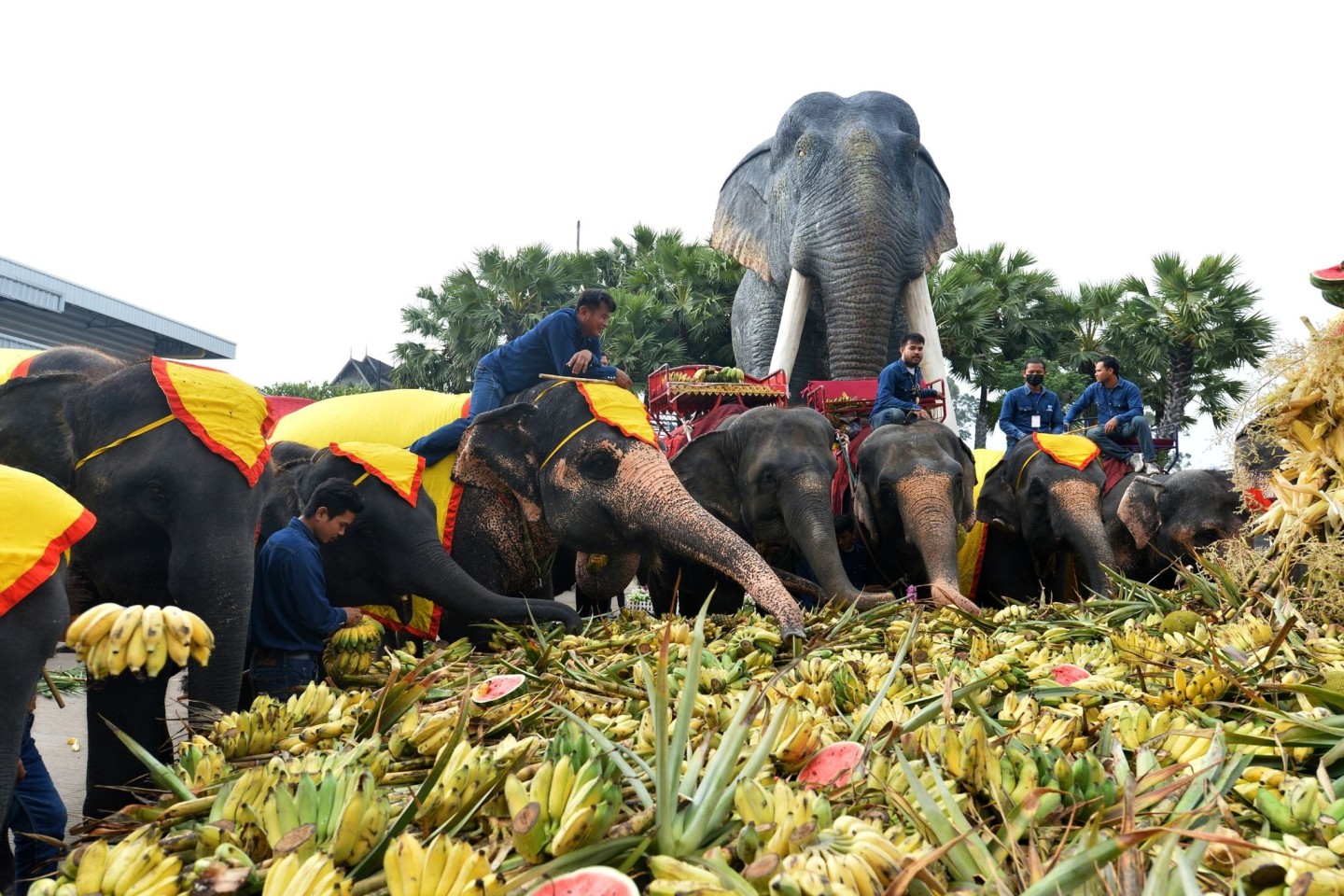 Ein Festmahl für die Elefanten in Pattaya.
