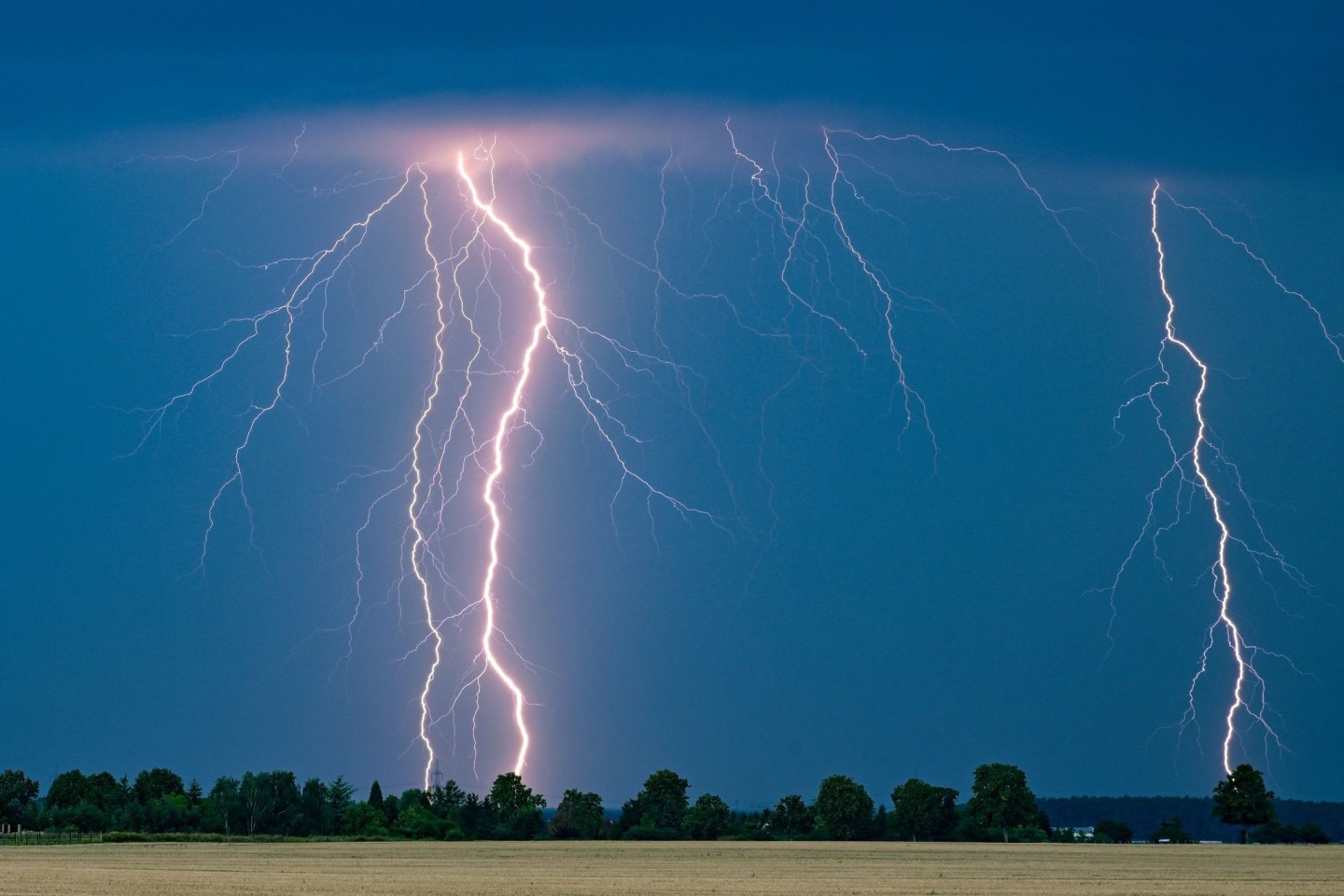 Blitze eines Gewitters leuchten am Abendhimmel im Osten des Landes Brandenburg.